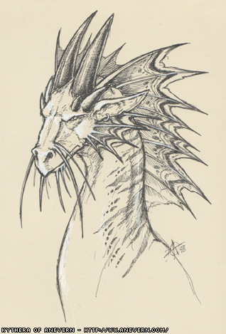 Dragon 03
