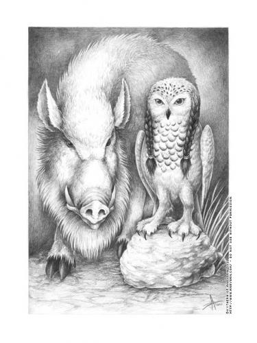 The Owl and the Boar